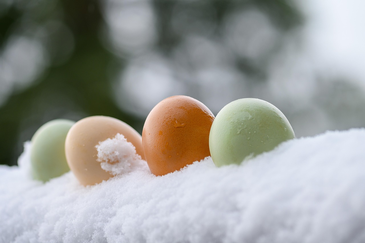 entdecken sie die besten vegetarischen proteinquellen für eine gesunde, ausgewogene ernährung. erfahren sie, welche lebensmittel reich an pflanzlichem eiweiß sind und wie sie ihren proteinbedarf ohne fleisch decken können.