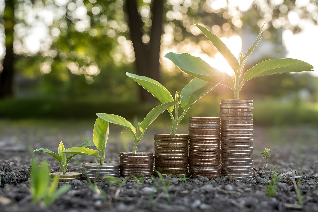 nachhaltiges investieren: entdecken sie strategien, um umweltbewusst und sozial verantwortlich ihr vermögen zu vermehren und eine bessere zukunft zu gestalten.