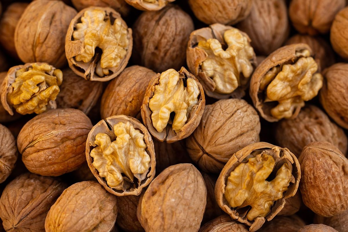 Welche vegetarischen Proteinquellen sind echte Fleischalternativen?